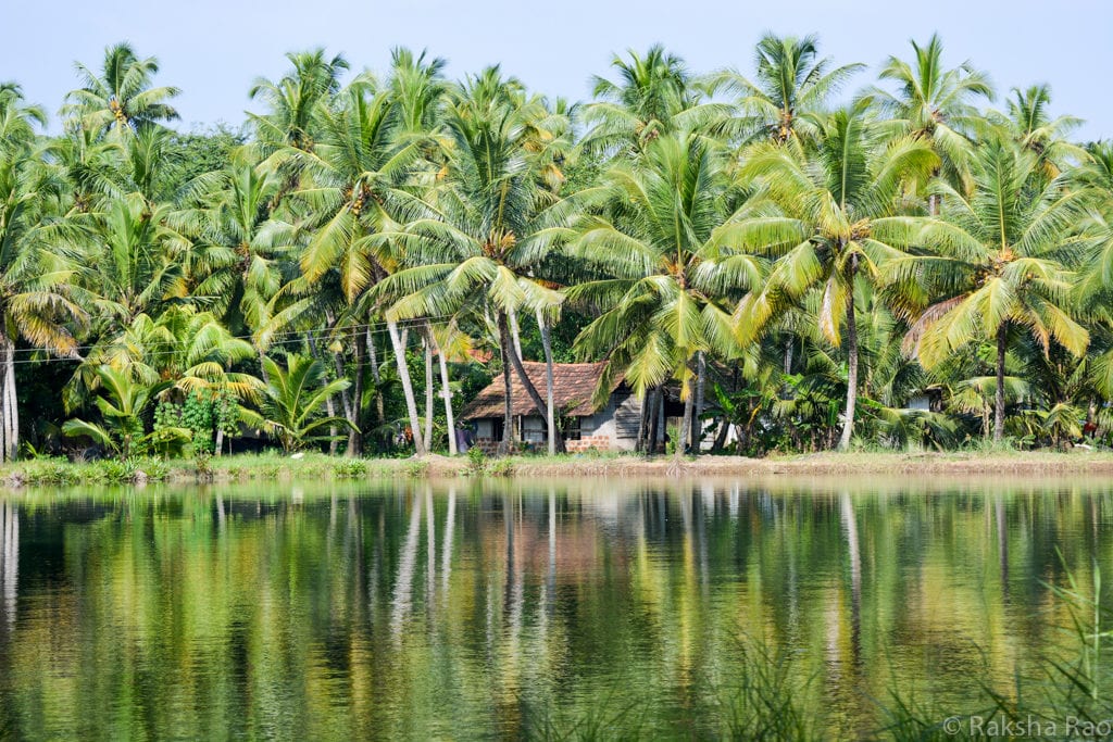 Kollam village backwater tour Kerala munroe island offbeat kollam backwaters, kollam india, kollam kerala beautiful places in India
