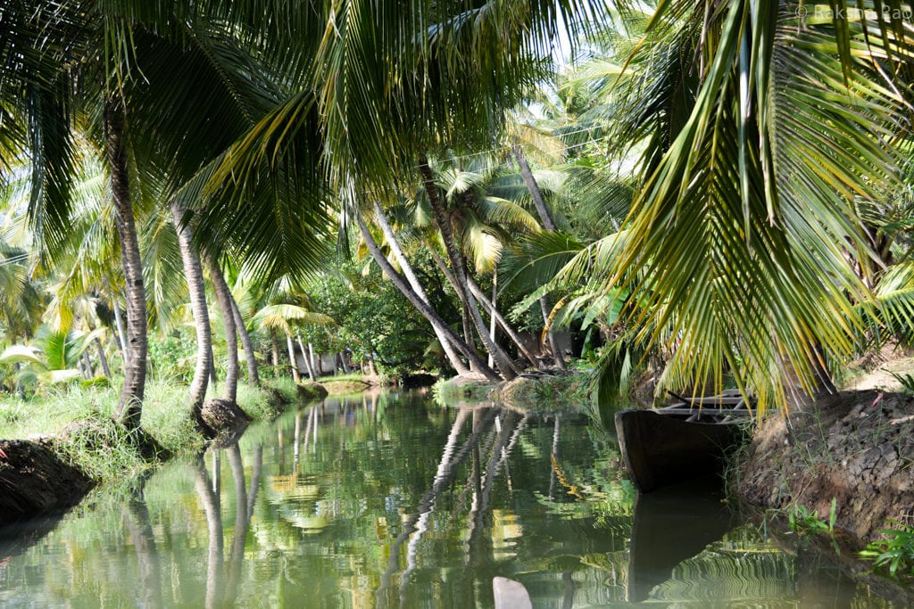 Kollam village backwater tour Kerala munroe island offbeat