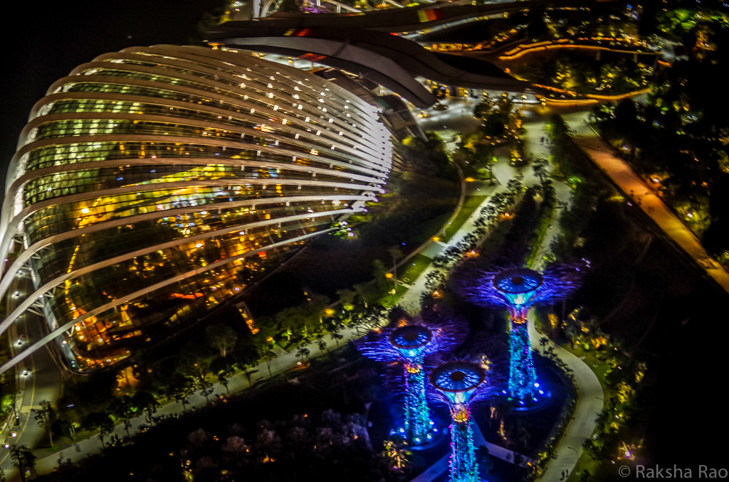 View of Gardens by the Bay from Marina Bay Sands