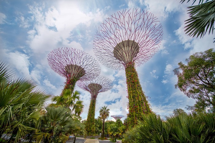 supertree grove singapore