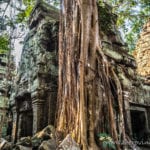 Ta Phrom temple Siem Reap Cambodia