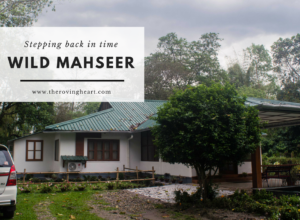 Stepping back in time: Wild Mahseer, Assam