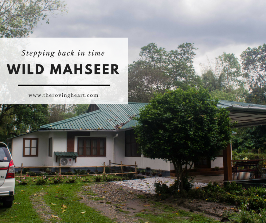 Stepping back in time: Wild Mahseer, Assam