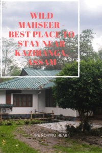 wild mahseer hotels in tezpur
