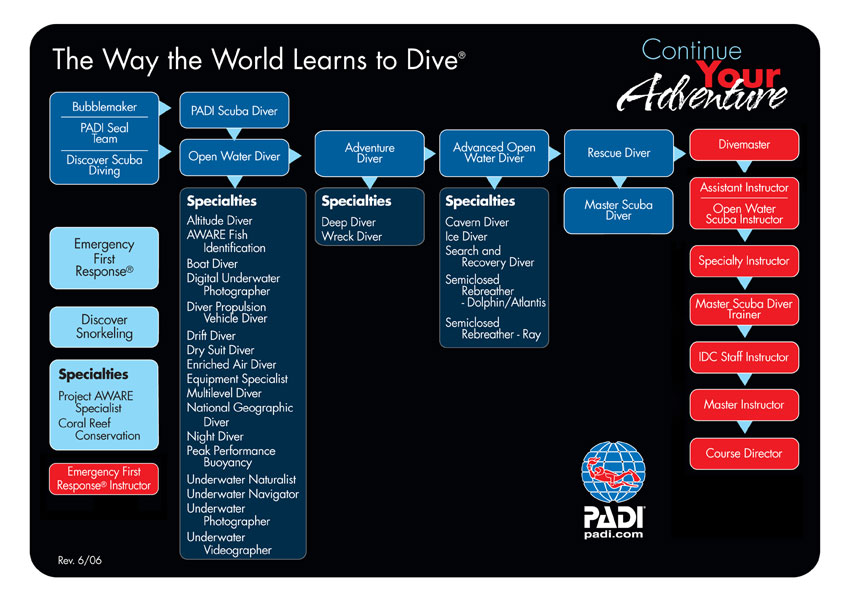 Padi flow chart - PADI open water diver scuba certification