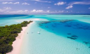 An Ultimate Guide To Maafushi Island | Maldives On a Budget