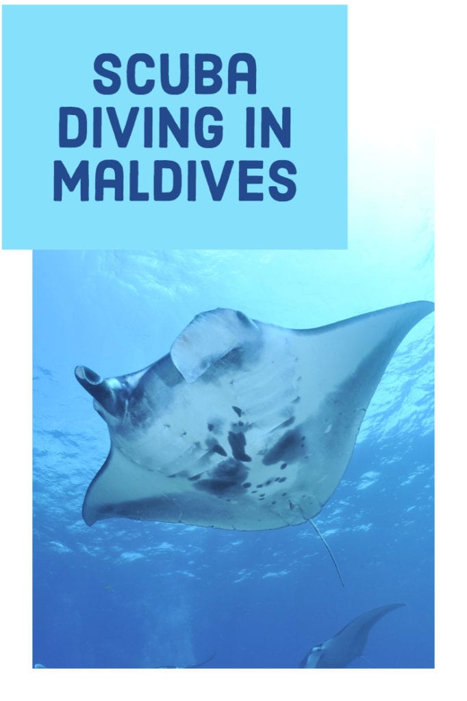 diving in Maldives, Maldives scuba diving