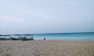 Full Guide on Diving Whale Watching & More in Trincomalee