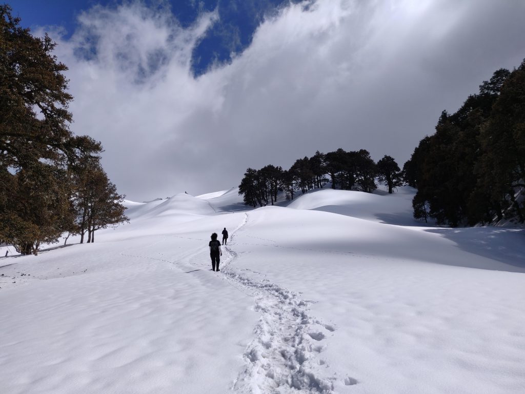Trekking to Gurso Bugyal trek in between skiing courses in Auli