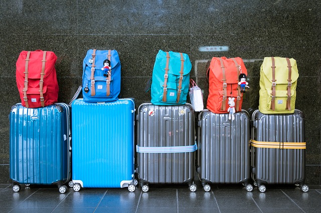 types of luggage trolley bags in India