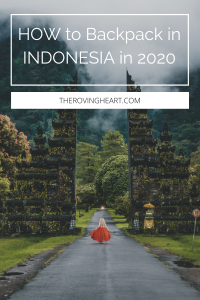 Backpacking in Indonesia in 2020