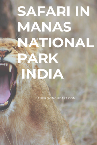 Manas National Park Assam India