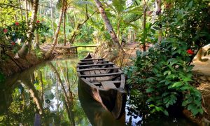 How To Market Your Digital Travel Blog On A Budget