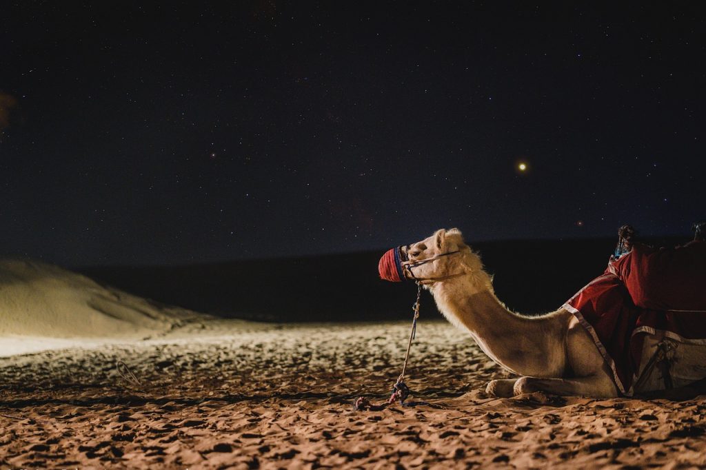 night desert safari to experience a beautiful night sky